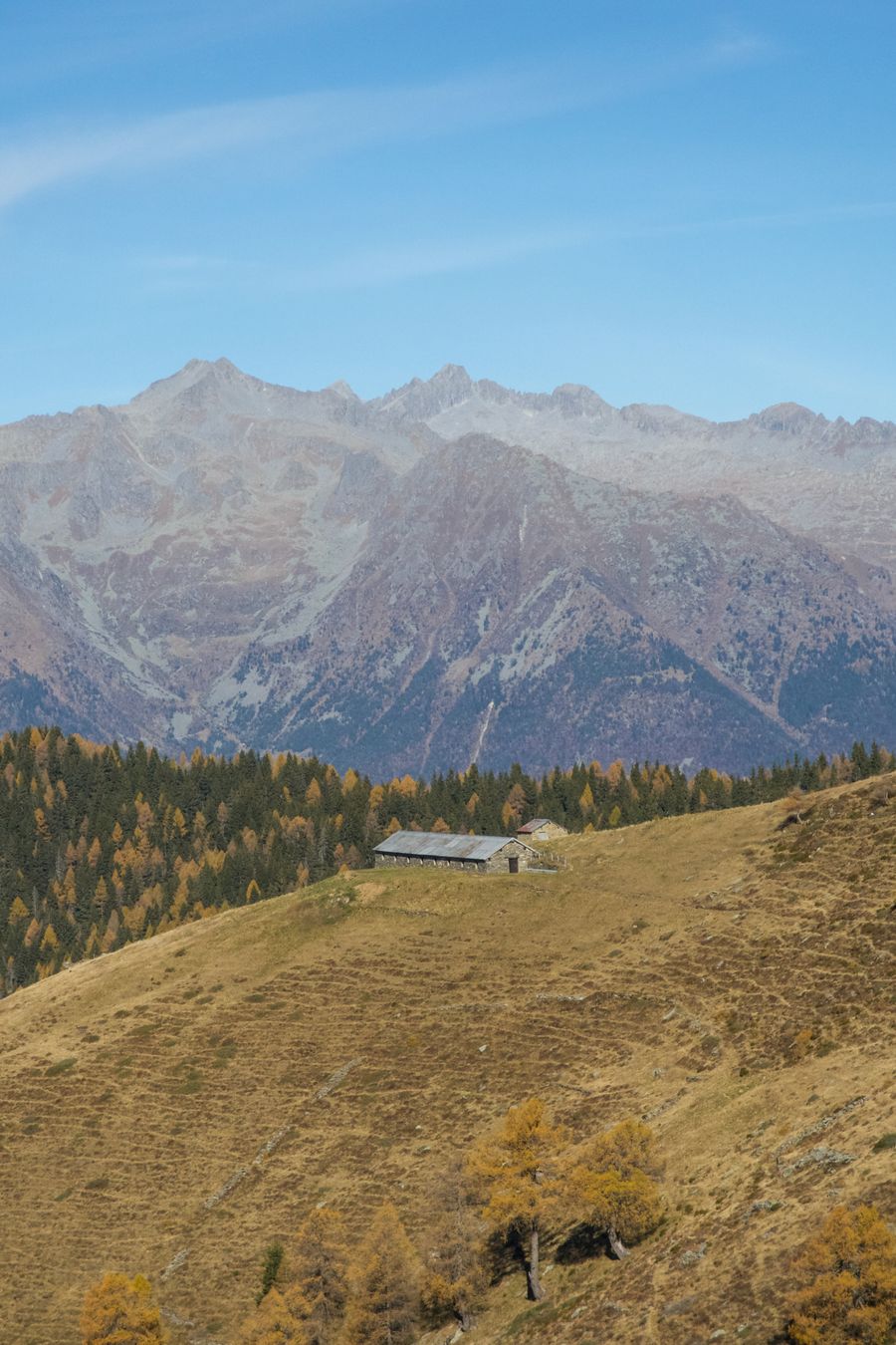 Rifugio Alpe Piazza - photo